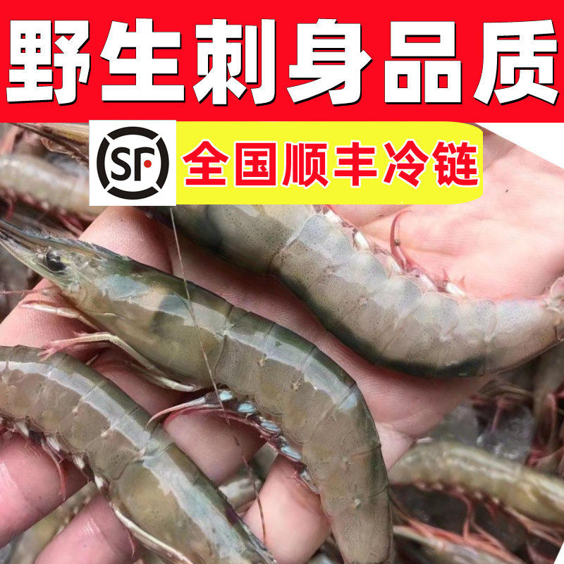 野生鲜活野生虾条虾滑皮虾刺身品