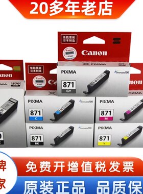 原装佳能870墨盒PGI870