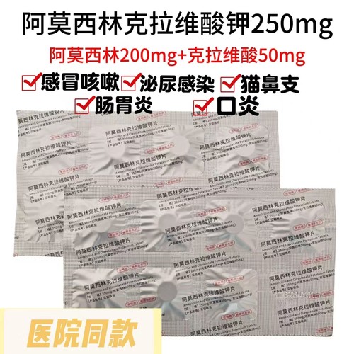 宠物狗克拉维酸钾猫咪宠物消炎片