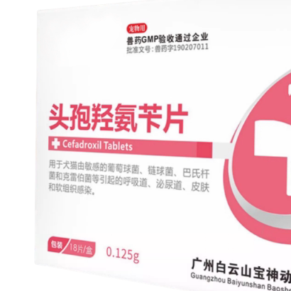白云山宝神猫咪狗狗通用消炎抗菌