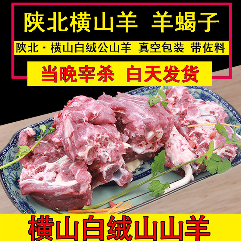 横山羊肉羊蝎子艾好峁羊膻味小
