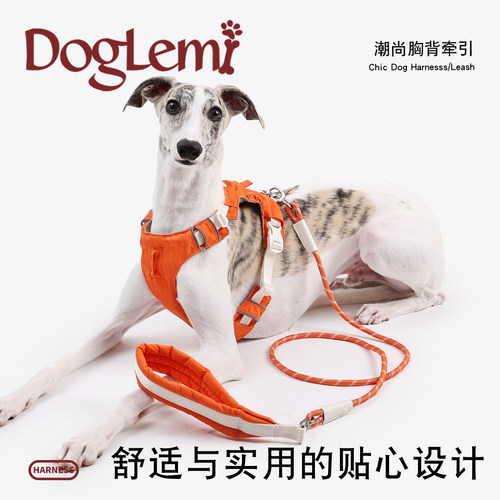 DogLemi宠物潮尚舒适胸背带套装
