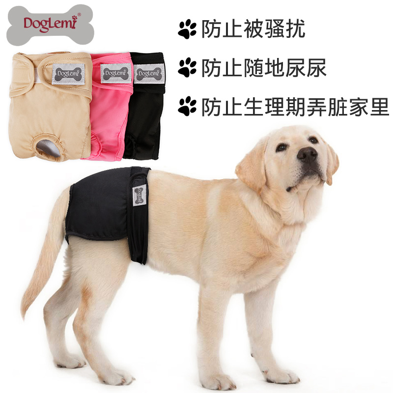 doglemi泰迪比熊卫生裤月经裤