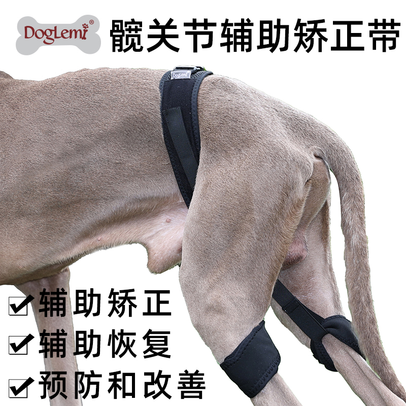 doglemi狗狗髋关节辅助矫正带