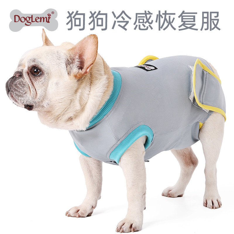 夏季凉感手术服狗狗四脚衣防脱绝育服宠物术后恢复衣服断奶服透气