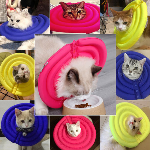 宠物伊丽莎白圈猫咪防舔