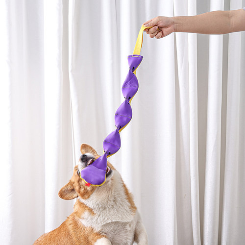 doglemi双色蛇漏食嗅闻玩具