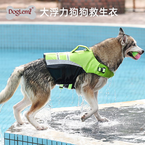 DogLemi宠物狗狗游泳衣夏季玩水