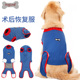 doglemi多乐米狗狗术后防舔服绝育服保护伤口断奶护肚宠物衣服
