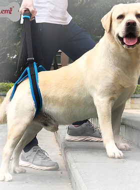 doglemi宠物狗狗后腿康复辅助带后肢无力残疾受伤老龄辅助背带