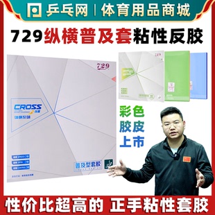 友谊729纵横普及套彩色乒乓球拍胶皮粘性反胶套胶皮 乒乓网