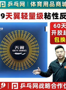 友谊729天翼 预置内能IN乒乓球胶皮 超轻粘性反手反胶 套胶