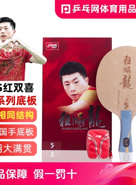 DHS红双喜龙5X底板狂飙马龙5五金满贯碳素纤维国手乒乓球拍ST横
