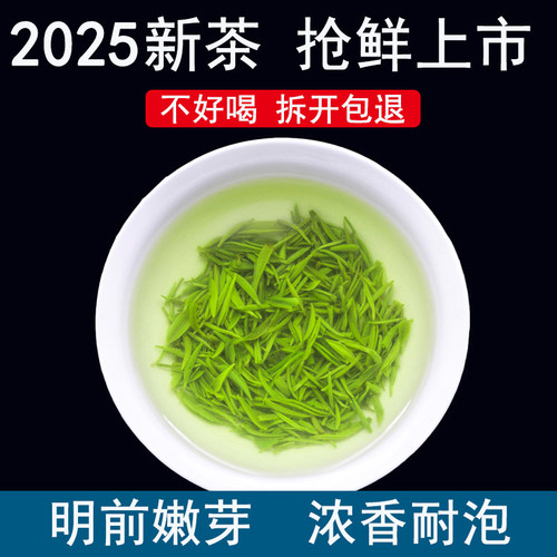 2025新茶信阳毛尖正宗茶农直销