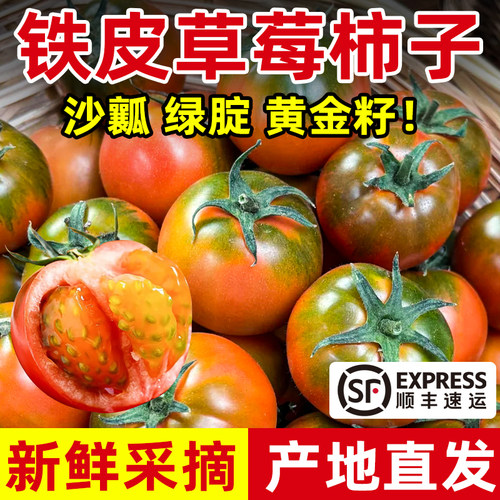 铁皮柿子草莓柿子番茄绿腚