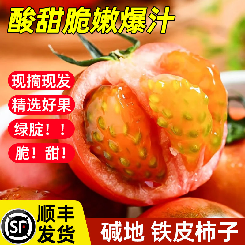 铁皮柿子草莓柿子番茄绿腚油柿新鲜水果碱地西红柿自然熟顺丰包邮
