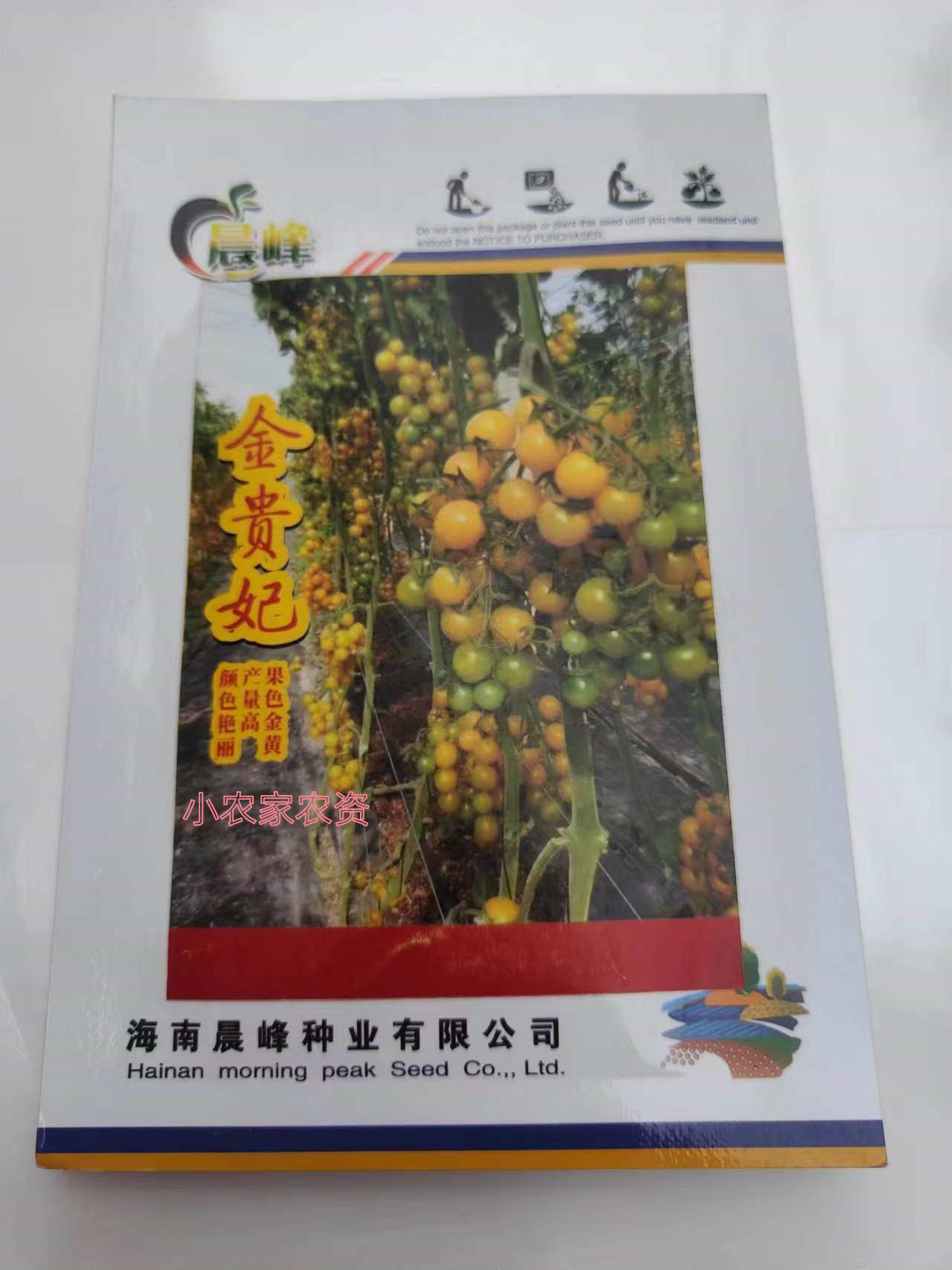 海南晨峰金贵妃番茄小果黄番茄西红柿口感水果番茄优于黄妃蔬菜籽