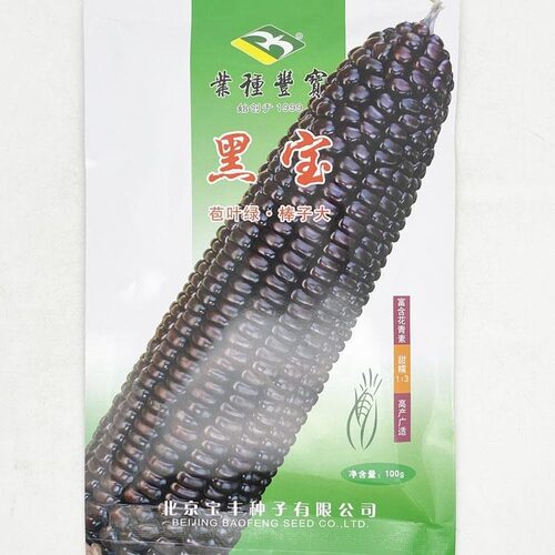 黑甜糯玉米种子北京宝丰黑宝大穗鲜食苞谷紫轴大面积抗病高产种籽
