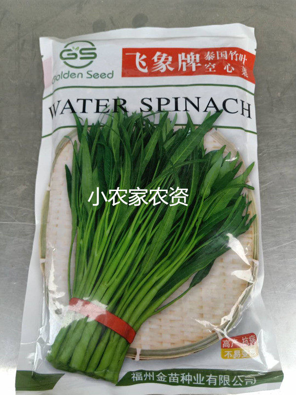 福州金苗 飞象泰国竹叶空心菜种子 台湾种 长叶空心菜 蔬菜种籽