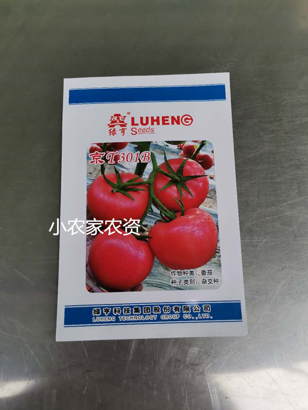 京T301B番茄 绿亨番茄种子 高抗TY病毒西红柿品种 大型粉果 耐裂