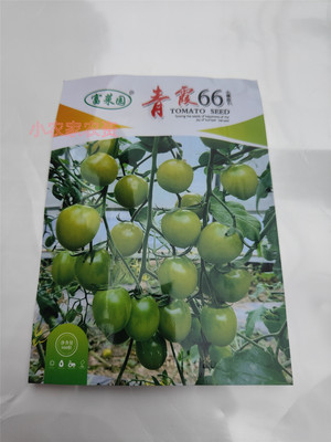 上海富农小番茄口感番茄纯甜口
