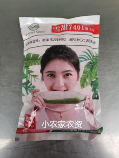 包邮 金苗 雪甜7401甜玉米种子 冰糖玉米可生吃水果玉米种子400克