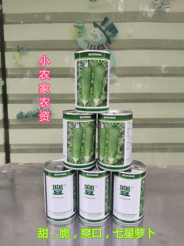 天津科润七星北斗天一水果萝卜种籽生食甜脆绿瓤绿皮光滑高产种子