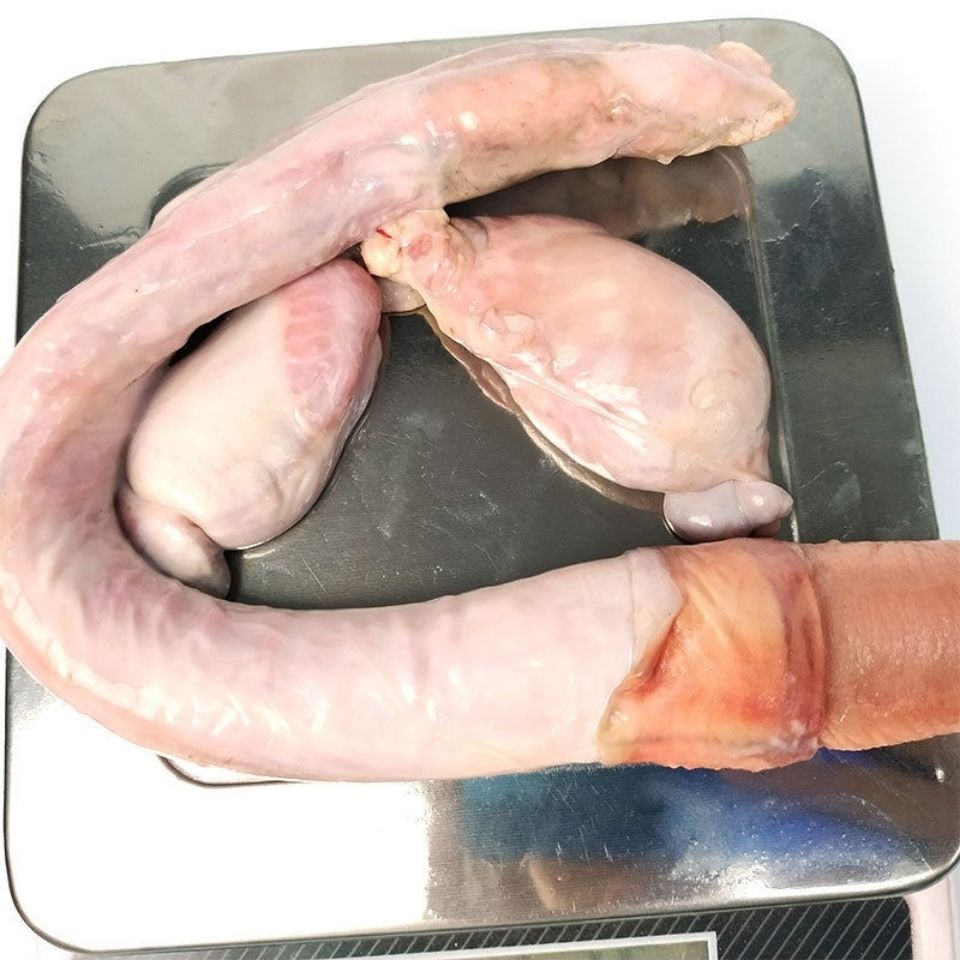 东北吉林长白山梅花鹿鲜鹿鞭泡酒整枝成年壮鹿300左右一套