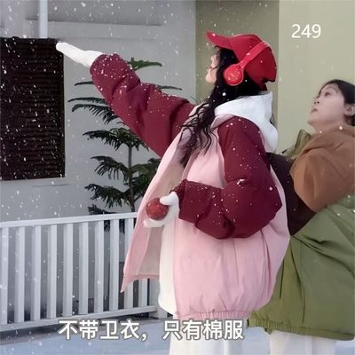 时尚棉服冬季立领2025新