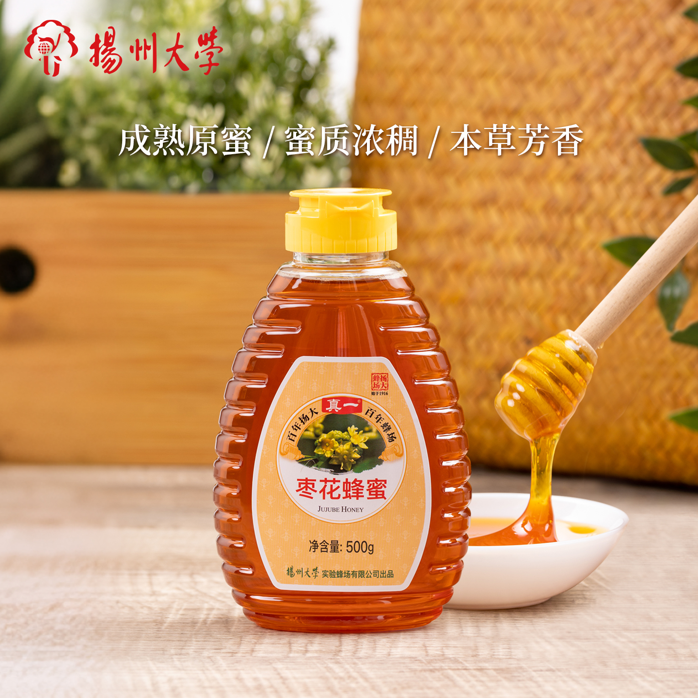 扬州大学蜂蜜农家自产枣花蜜一斤挤压瓶装原味纯正天然无添加土真