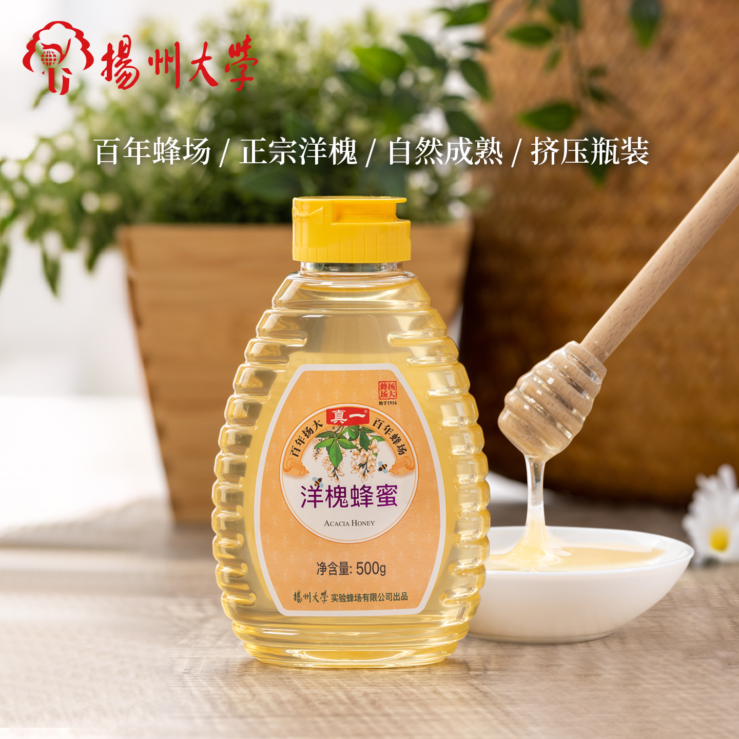 扬大真槐花蜂蜜扬州洋槐百花野生纯正天然大学500g无添加杨槐蜜一