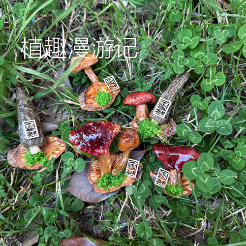 云南野生菌真蘑菇冰箱贴小众创意果实森系伴手礼