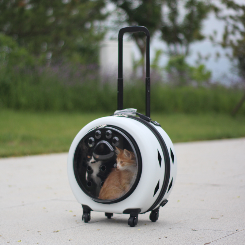 宠物外出便携拉杆箱透明猫咪行李箱猫包背包大容量狗箱手提猫狗包