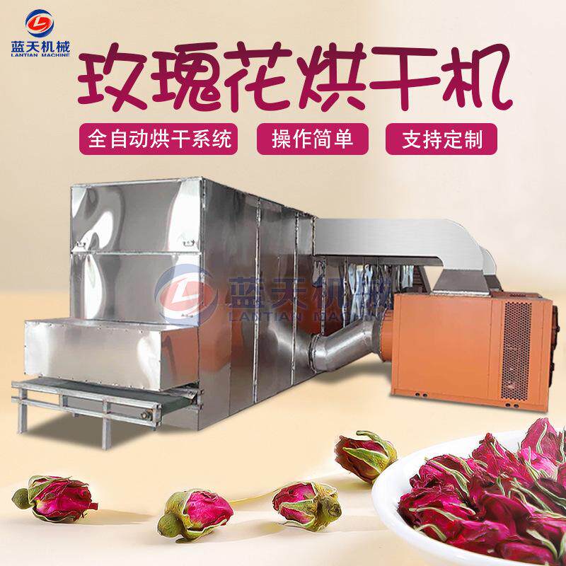 玫瑰花烘干机 大型网带食用玫瑰花蕾花苞干燥机 玫瑰花茶烘干设备
