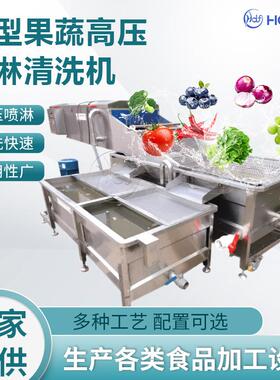 多功能果蔬清洗流水线 果蔬高压喷淋清洗机 全套净菜加工生产线