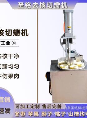 厂家直销桃子去核切瓣机 多功能黄桃苹果捅核机 转盘式山楂去核机