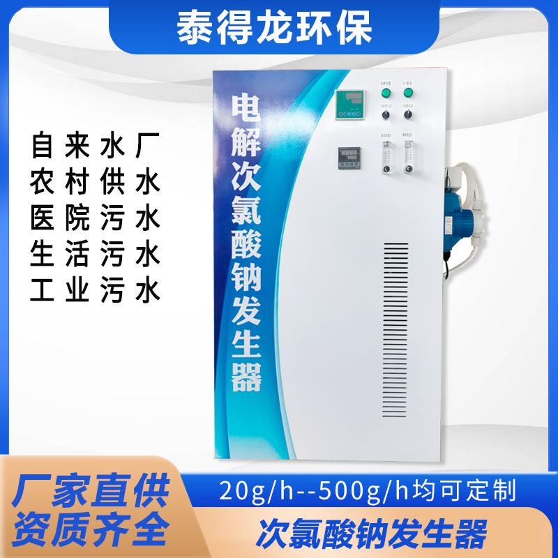 50g电解法次氯酸钠发生器 电解盐水 自来水厂饮用水消毒设备