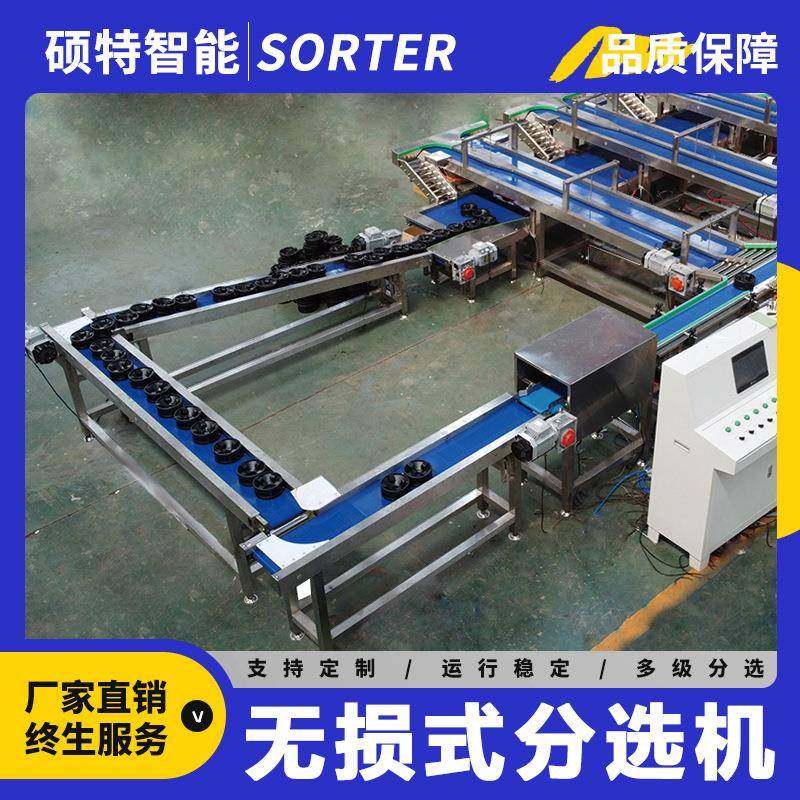 全自动水果无损分选机 蜜瓜重量等级分级秤 芒果草莓呵护式挑选机,清洗/食品/商业设备,肉制品加工设备,淘宝优惠券,粉丝福利购,淘宝优惠卷