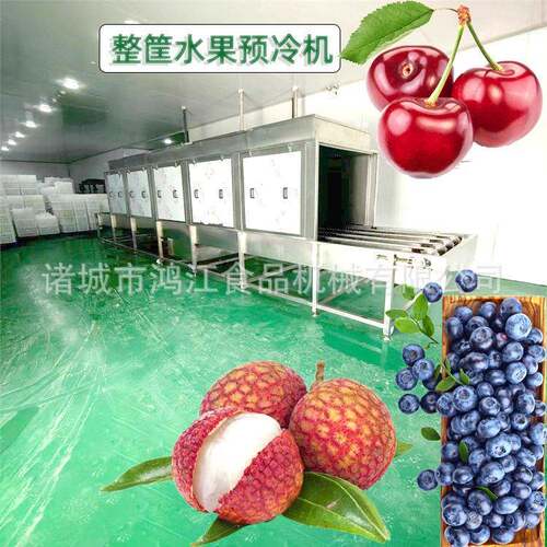 定制喷淋降温机 荔枝循环水降温设备 自动制冷降温机 水果预冷机