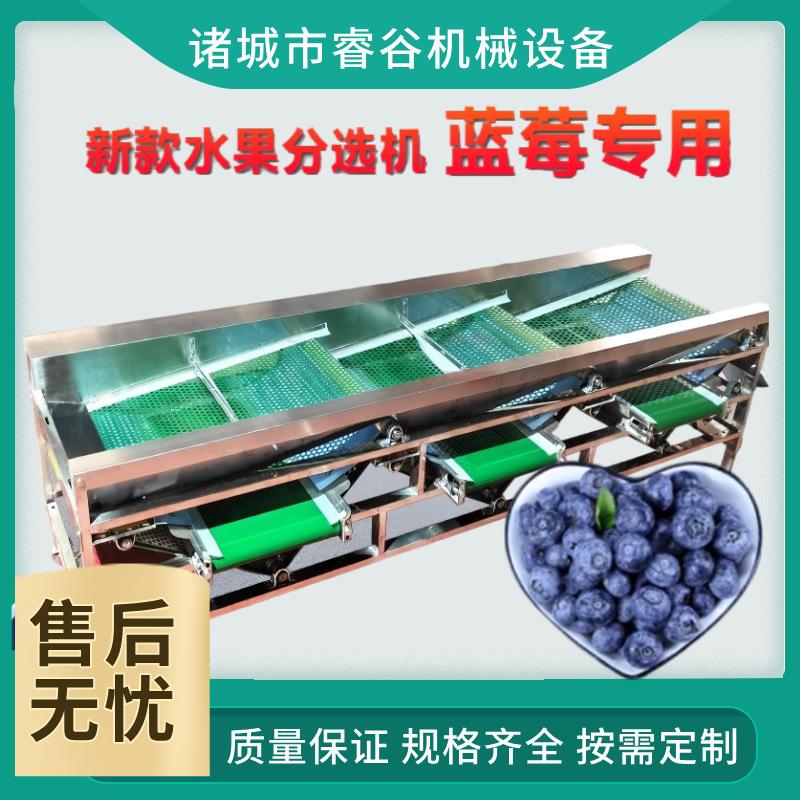 蓝莓分选网带分级选果机不锈钢杨梅樱桃李子坚果水果筛选机全自动