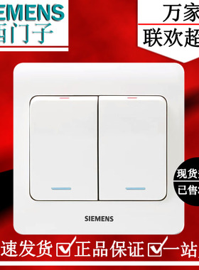 西门子远景雅白色二开单控面板 二位大跷板开关带荧光5TA01151CC1