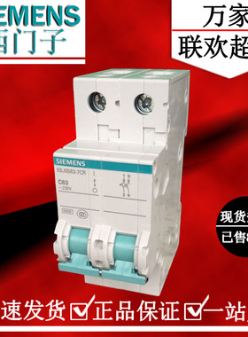 西门子小型断路器2P63A空气开关1P+N63A总开关绿色系列5SJ65637CR