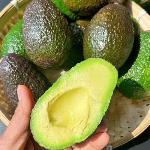 哈斯牛油果云南特产现摘现发新鲜生牛油果水果牛油果【森林奶油】