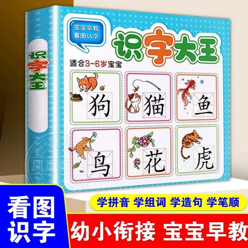 识字大王儿童学前看图识字书
