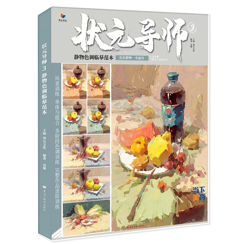 静物照片对画临摹范本色彩色调基础范画国美色彩高考联考色彩教学教程