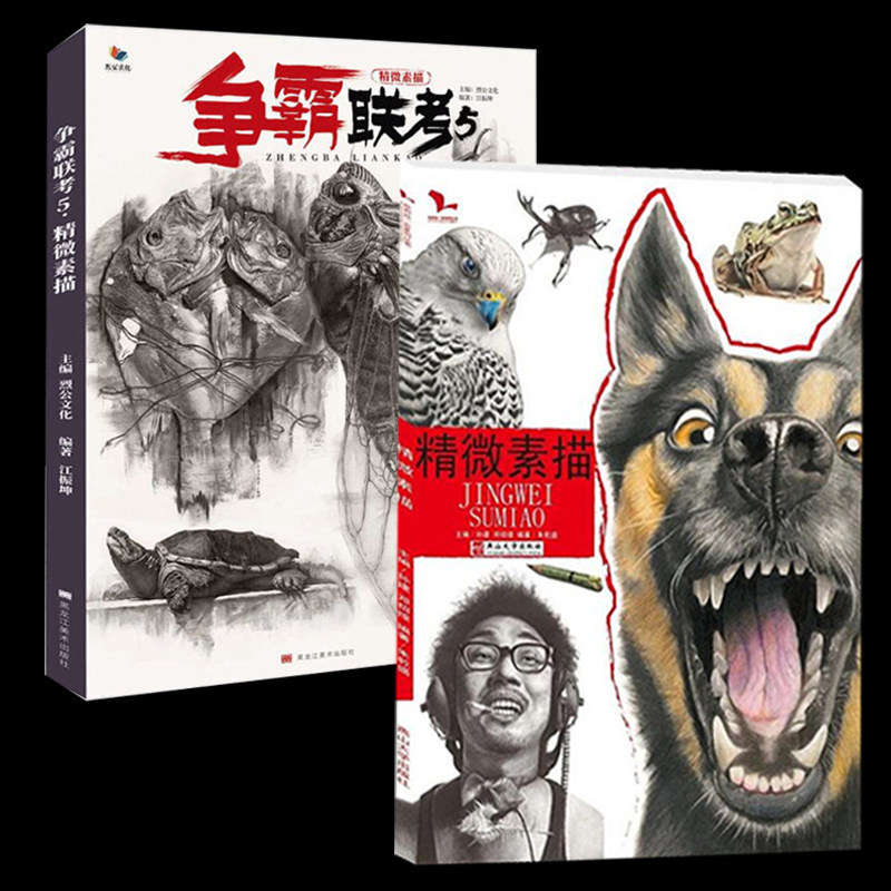 临摹教程零基础自学教材书籍铅笔手绘画册稿美术央美精微素描教学临摹