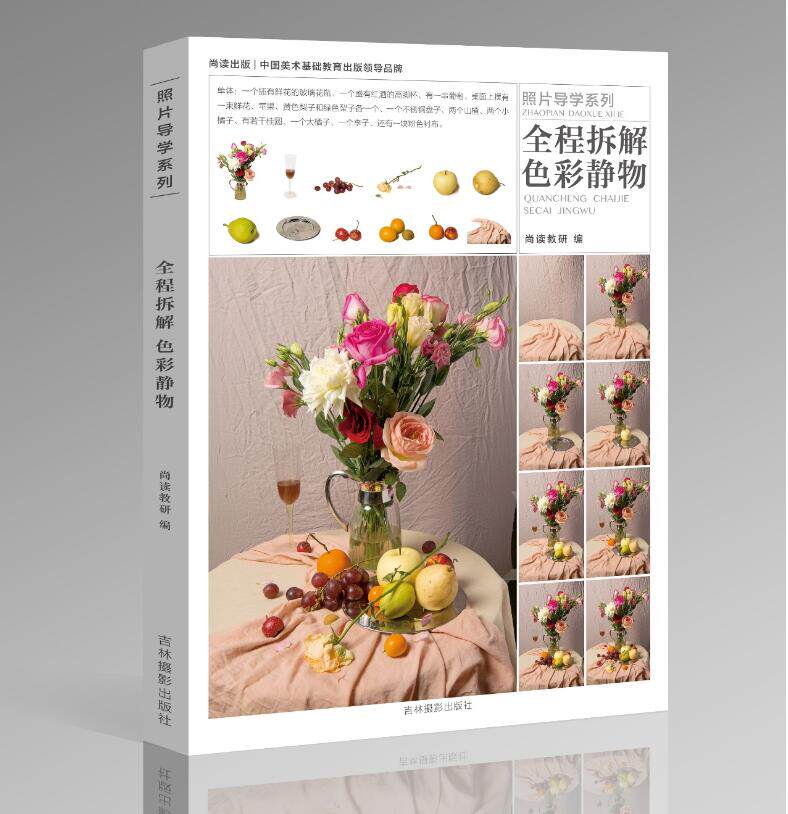 水粉画临摹范本照片对画临摹范本国美争霸色彩静物超级临摹联考绘画书