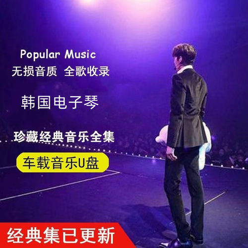 韩国高音质电子琴轻音乐DJ纯音乐