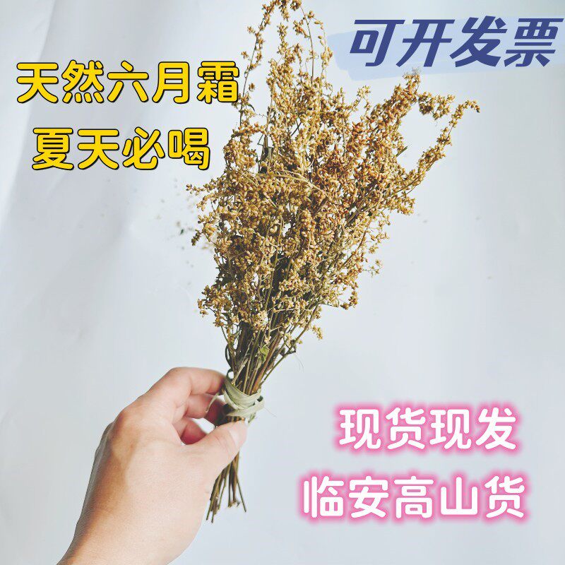 高山六月霜茶临安大山野茶花防解暑夏天喝凉茶刘寄奴奇蒿带花籽
