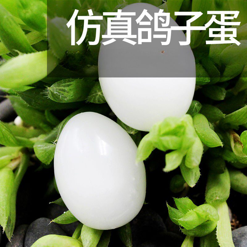 假鸽蛋仿真鸽蛋信鸽赛鸽注水假蛋实心塑料鸽蛋孵假鸽子蛋鸽子用品